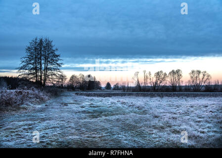 Le gel, la première gelée, un paysage pris au lever du soleil dans le nord-est de la Pologne Banque D'Images