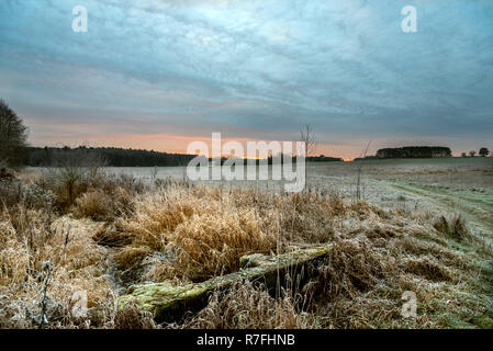 Le gel, la première gelée, un paysage pris au lever du soleil dans le nord-est de la Pologne Banque D'Images