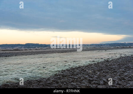 Le gel, la première gelée, un paysage pris au lever du soleil dans le nord-est de la Pologne Banque D'Images