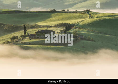 Dans la ferme toscane Val d'Orcia, près de Pienza, Toscane, Italie Banque D'Images