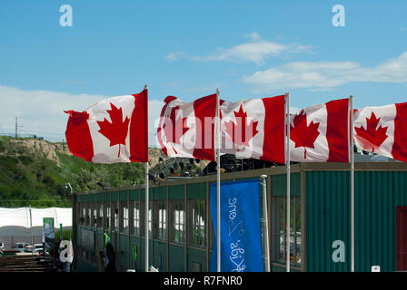 Drapeaux du Canada à Calgary, Alberta, Canada Banque D'Images