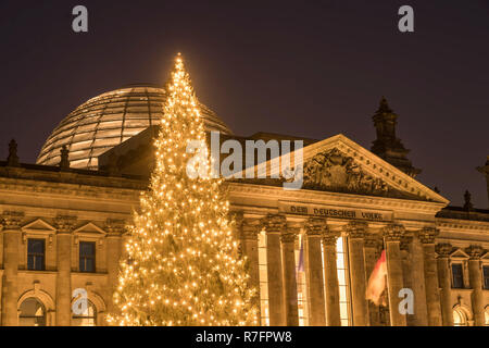 Arbre de Noël devant le Reichstag, Berlin Banque D'Images