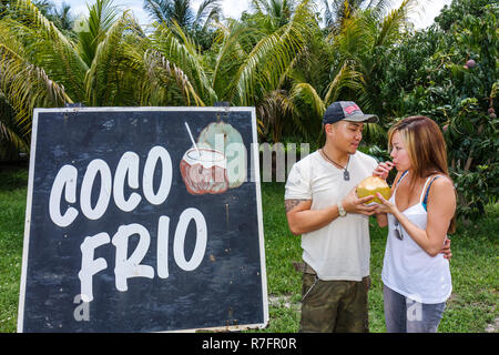 Miami Florida,Davie,Bob Roth's New River Groves,stand de fruits en bord de route,produits locaux,panneau,coco frio,langue espagnole,bilingue,eau froide de coco,asiatique Banque D'Images