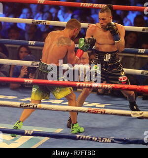 Champion du monde Vassily Lomachenko léger de l'Ukraine (en vert les lignes) en action au cours de l'unification titre lutte contre Jose Pedraza Banque D'Images