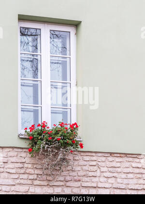 Fenêtre européenne typique avec des fleurs. Boîte à fleurs en dessous d'un windows sur un immeuble à appartements. Banque D'Images