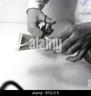 Années 1950, la photographie du film, historique, de couper une bande de film photographique négatifs après le film a été développé. chemcially Une valeur négative correspond à une image sur une bande de feuille de film plastique transparent dans lequel les lighest zones du sujet photographié apparaissent plus sombres et les zones les plus sombres apparaissent le plus léger. Banque D'Images