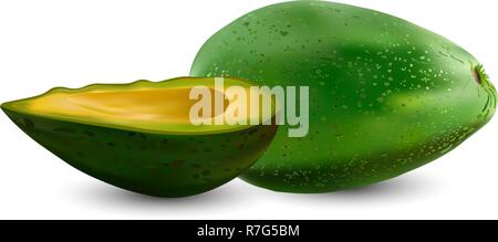 Jeu de l'avocat vert réaliste. Vector illustration. Evergreen exotiques plantes à fruits. L'isolement sur un fond blanc Illustration de Vecteur