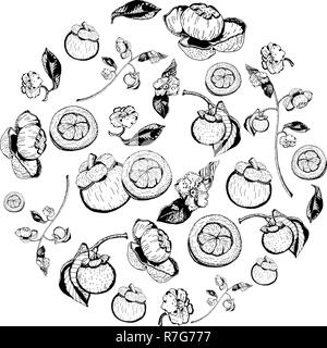 Purple mangoustan fruits, fleurs, feuilles et articles composés en forme du cercle sur fond blanc. Doux savoureux Garcinia mangostana faites à la main en noir Illustration de Vecteur