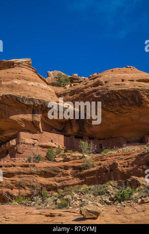 Chambre Lune Ruine sur Cedar Mesa, une fois partie d'Oreilles Ours National Monument, Utah, USA Banque D'Images