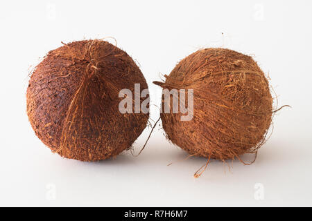 Coco isolé sur fond blanc Banque D'Images