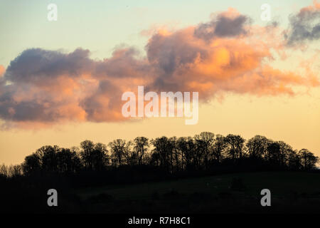 Oakham, Rutland Water, 9 décembre 2018. Après le coucher du soleil du soir de ciel bleu et de la faune des couleurs d'or, au coucher du soleil Une journée d'automne. Credit : Clifford Norton/Alamy Live News Banque D'Images