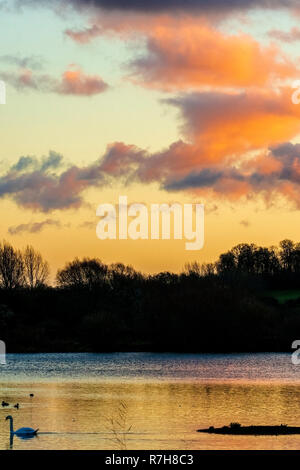 Oakham, Rutland Water, 9 décembre 2018. Après le coucher du soleil du soir de ciel bleu et de la faune des couleurs d'or, au coucher du soleil Une journée d'automne. Credit : Clifford Norton/Alamy Live News Banque D'Images