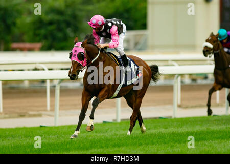 Sha Tin, de nouveaux territoires, aux États-Unis. 9Th Mar, 2018. HONG KONG, Sha Tin-Décembre 09 : Génération de Beauté, montée par Zac Purton, gagne la Hong Kong Mile à l'hippodrome de Sha Tin, le 9 décembre 2018 à Sha Tin, de nouveaux territoires, à Hong Kong. Kaz Ishida/Eclipse Sportswire/CSM/Alamy Live News Banque D'Images