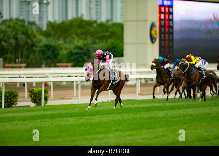 Sha Tin, de nouveaux territoires, aux États-Unis. 9Th Mar, 2018. HONG KONG, Sha Tin-Décembre 09 : Génération de Beauté, montée par Zac Purton, gagne la Hong Kong Mile à l'hippodrome de Sha Tin, le 9 décembre 2018 à Sha Tin, de nouveaux territoires, à Hong Kong. Kaz Ishida/Eclipse Sportswire/CSM/Alamy Live News Banque D'Images