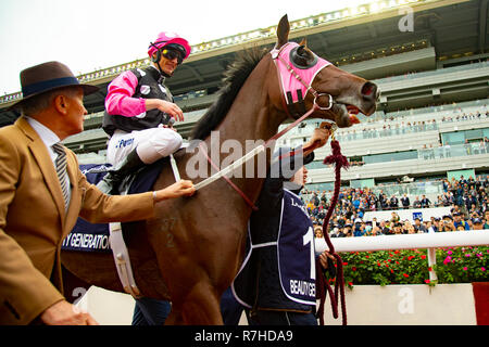 Sha Tin, de nouveaux territoires, aux États-Unis. 9Th Mar, 2018. HONG KONG, Sha Tin-Décembre 09 : Génération de Beauté, montée par Zac Purton, gagne la Hong Kong Mile à l'hippodrome de Sha Tin, le 9 décembre 2018 à Sha Tin, de nouveaux territoires, à Hong Kong. Kaz Ishida/Eclipse Sportswire/CSM/Alamy Live News Banque D'Images