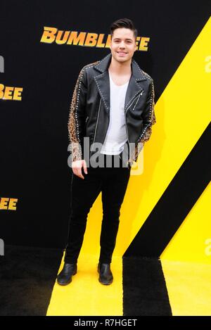 Hollywood, Etats-Unis. 09Th Nov, 2018. HOLLYWOOD, CA - 9 décembre : l'acteur William Valdes assiste à Paramount Pictures présente la première mondiale de 'BumbleBee' le 9 décembre 2018 au Théâtre chinois de Grauman à Hollywood, Californie. Credit : Barry King/Alamy Live News Banque D'Images