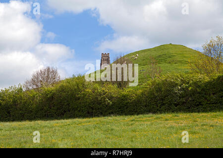 Tor de Glastonbury, Somerset, Royaume-Uni sur une journée de printemps ensoleillée. Banque D'Images