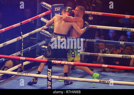 Champion du monde Vassily Lomachenko léger de l'Ukraine (en vert les lignes) en action au cours de l'unification titre lutte contre Jose Pedraza Banque D'Images