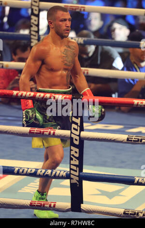 Champion du monde Vassily Lomachenko léger de l'Ukraine (en vert les lignes) en action au cours de l'unification titre lutte contre Jose Pedraza Banque D'Images