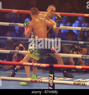 Champion du monde Vassily Lomachenko léger de l'Ukraine (en vert les lignes) en action au cours de l'unification titre lutte contre Jose Pedraza Banque D'Images