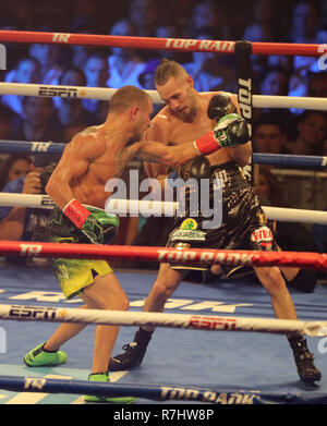 Champion du monde Vassily Lomachenko léger de l'Ukraine (en vert les lignes) en action au cours de l'unification titre lutte contre Jose Pedraza Banque D'Images