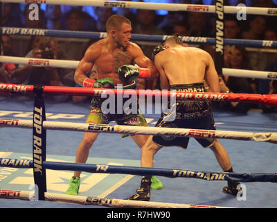 Champion du monde Vassily Lomachenko léger de l'Ukraine (en vert les lignes) en action au cours de l'unification titre lutte contre Jose Pedraza Banque D'Images