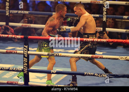 Champion du monde Vassily Lomachenko léger de l'Ukraine (en vert les lignes) en action au cours de l'unification titre lutte contre Jose Pedraza Banque D'Images