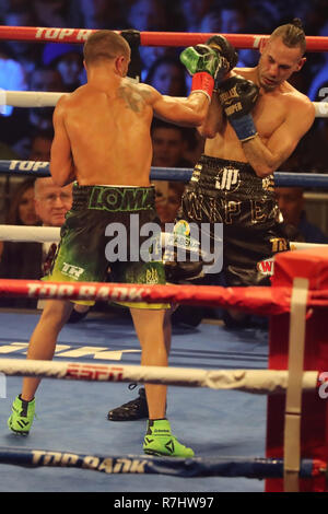 Champion du monde Vassily Lomachenko léger de l'Ukraine (en vert les lignes) en action au cours de l'unification titre lutte contre Jose Pedraza Banque D'Images