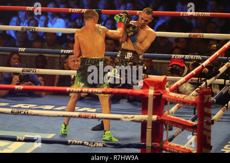 Champion du monde Vassily Lomachenko léger de l'Ukraine (en vert les lignes) en action au cours de l'unification titre lutte contre Jose Pedraza Banque D'Images