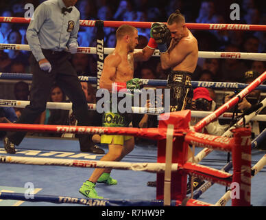 Champion du monde Vassily Lomachenko léger de l'Ukraine (en vert les lignes) en action au cours de l'unification titre lutte contre Jose Pedraza Banque D'Images