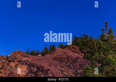 Paysage nuit étoilée à Tenerife, îles de Canaries, Espagne Banque D'Images