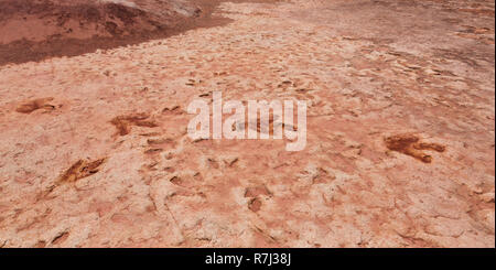 Moenkopi dinosaures ces traces de dinosaures ont été formés dans la période jurassique précoce, d'environ 200 millions d'années et ont été vérifiés par Banque D'Images