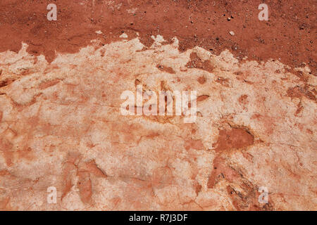 Moenkopi dinosaures ces traces de dinosaures ont été formés dans la période jurassique précoce, d'environ 200 millions d'années et ont été vérifiés par Banque D'Images