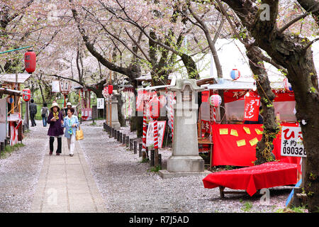 KYOTO, JAPON - 17 avril : Les visiteurs apprécient la fleur de cerisier (Sakura) le 17 avril 2012 dans Sanctuaire Hirano jardin, Kyoto, Japon. Le culte existant depuis 794 Banque D'Images