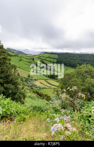 Vue Portrait de pâturages jusqu'à la Caldeira Do Alferes sur l'île de Sao Miguel aux Açores. Banque D'Images