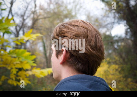 Vue arrière de la tête du jeune homme debout dans un état pensif automnales avec forêt en arrière-plan Banque D'Images