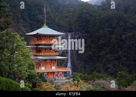 Nachisan Seiganto-ji pagode à Kumano Nachi culte avec Nachi tombe en arrière-plan, Wakayama, Japon, Asie Banque D'Images