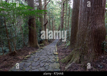 Groupe de personnes à Kumano Kodo à Daimon-zaka, un sentier sacré désigné comme site du patrimoine mondial de l'UNESCO dans la région de Nachi, Wakayama, Japon. Banque D'Images