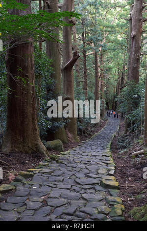 Kumano Kodo à Daimon-zaka, un sentier sacré désigné comme site du patrimoine mondial de l'UNESCO dans la région de Nachi, Wakayama, Japon. Banque D'Images