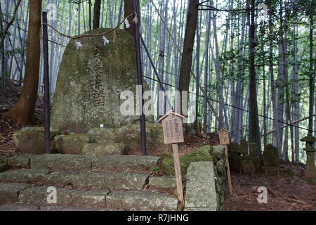 Détail à Kumano Kodo à Daimon-zaka, un sentier sacré désigné comme site du patrimoine mondial de l'UNESCO dans la région de Nachi, Wakayama, Japon. Banque D'Images