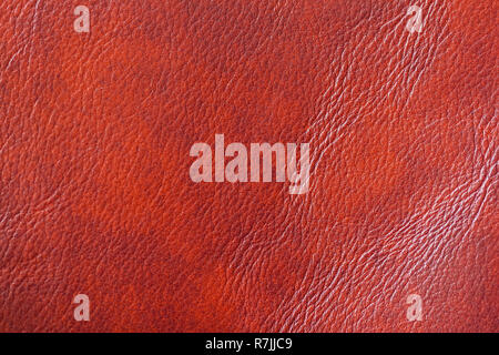 La texture de cuir véritable de close-up, avec ride, crease, couleur de fond brun-orange, la surface Banque D'Images