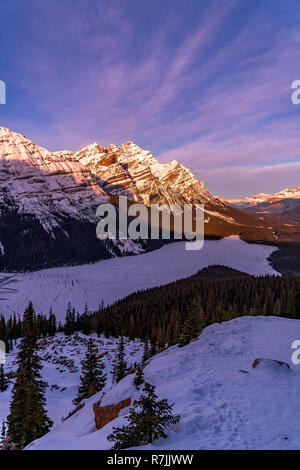 Le lac Peyto le long de la promenade des Glaciers dans le parc national de Banff Banque D'Images