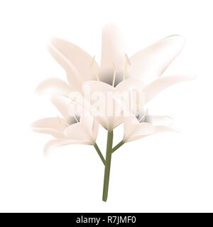 Bouquet de fleurs pastel. Vector illustration. De belles fleurs Illustration de Vecteur