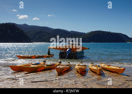 Kayaks de mer sur la plage à Anchorage Bay, parc national Abel Tasman, Nouvelle-Zélande Banque D'Images