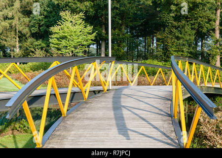 Passerelle en métal peint sur une petite rivière dans un espace nature. C'est une journée ensoleillée dans la saison d'automne dans un parc Banque D'Images