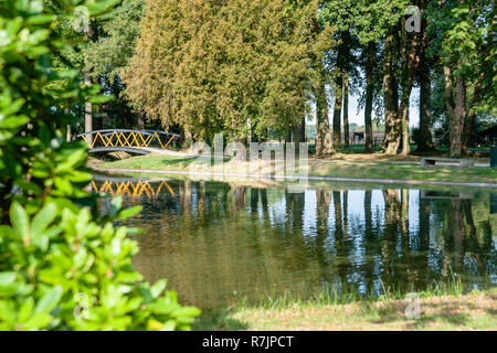 Passerelle en métal peint sur une petite rivière dans un espace nature. C'est une journée ensoleillée dans la saison d'automne dans un parc Banque D'Images