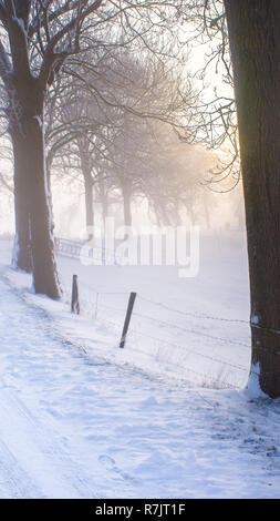 Grand beau paysage d'hiver douillet dans les Pays-Bas le long de old seawall la neige, la glace et le brouillard Banque D'Images