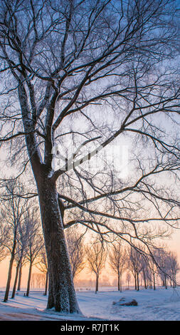 Grand beau paysage d'hiver douillet dans les Pays-Bas le long de old seawall la neige, la glace et le brouillard Banque D'Images