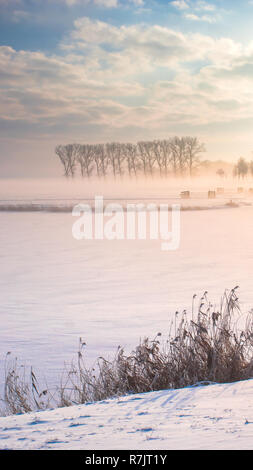 Grand beau paysage d'hiver douillet dans les Pays-Bas le long de old seawall la neige, la glace et le brouillard Banque D'Images