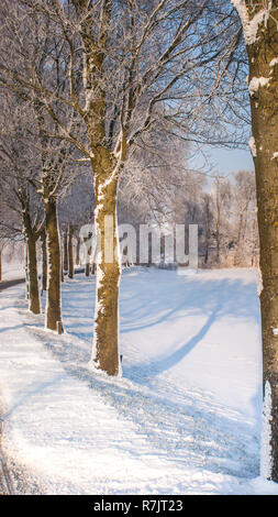 Grand beau paysage d'hiver douillet dans les Pays-Bas le long de old seawall la neige, la glace et le brouillard Banque D'Images